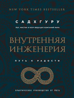 Садхгуру Внутренняя инженерия. Путь к радости. Практическое руководство от йога обложка книги