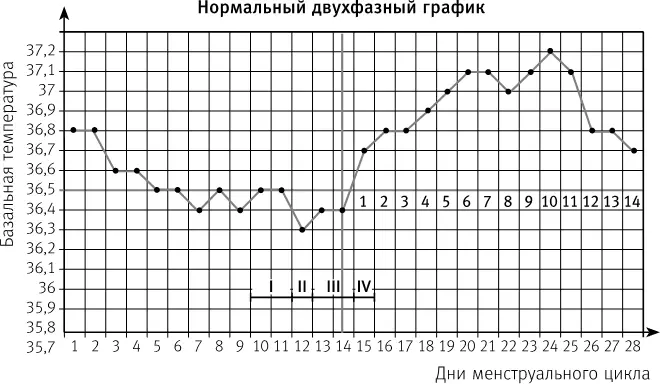 I предовуляторный период 10 11й день II овуляция 12й III - фото 16