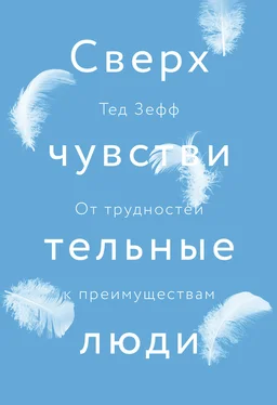 Тед Зефф Сверхчувствительные люди. От трудностей к преимуществам обложка книги