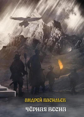 Андрей Васильев Черная Весна обложка книги