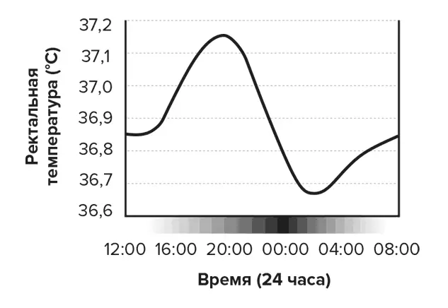 Мой ритм это не ваш ритм Хотя каждый человек внутренне неизменно следует - фото 1