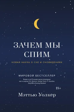 Мэттью Уолкер Зачем мы спим. Новая наука о сне и сновидениях обложка книги