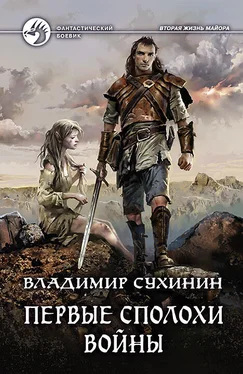 Владимир Сухинин Первые сполохи войны обложка книги