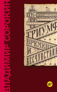 Владимир Сорокин Триумф Времени и Бесчувствия обложка книги