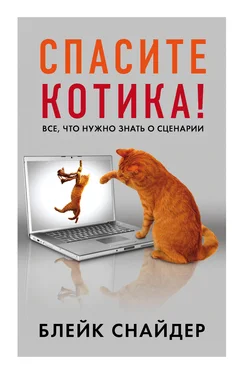 Блейк Снайдер Спасите котика! Все, что нужно знать о сценарии обложка книги