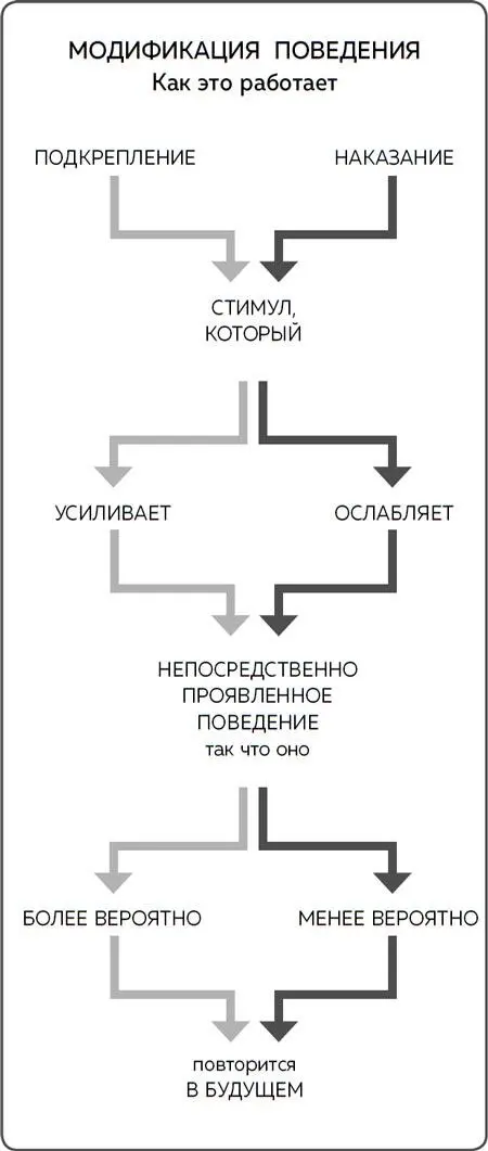 Положительным наказанием для Уоллаби было бы если бы Питер сделал ему - фото 4