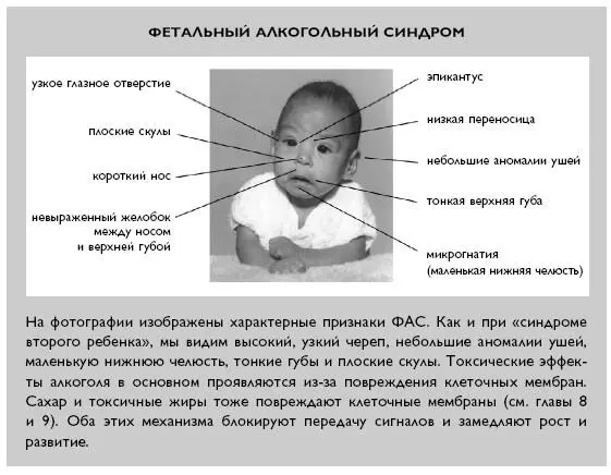 Печальная правда состоит в том что многих если не большинство лучших - фото 19