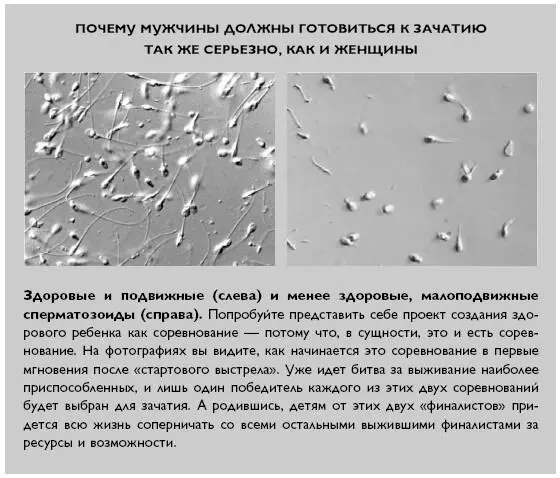 Узкое лицо тонкие кости уплощенные черты лица знакомая картина Это - фото 21