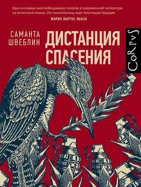 Саманта Швеблин Дистанция спасения обложка книги