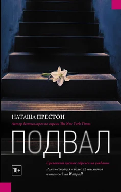 Наташа Престон Подвал обложка книги