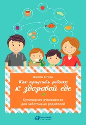 Джейн Огден - Как приучить ребенка к здоровой еде - Кулинарное руководство для заботливых родителей