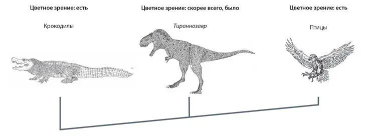 Нынешние животные которые обрамляют окаменелости дают нам информацию о - фото 16
