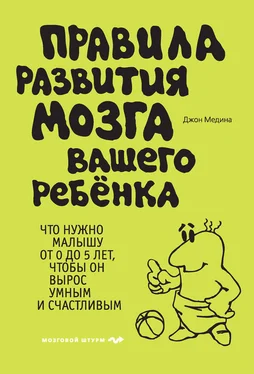 Джон Медина Правила развития мозга вашего ребенка. Что нужно малышу от 0 до 5 лет, чтобы он вырос умным и счастливым обложка книги