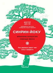 Цин Ли - Синрин-йоку - японское искусство «лесных ванн». Как деревья дарят нам силу и радость