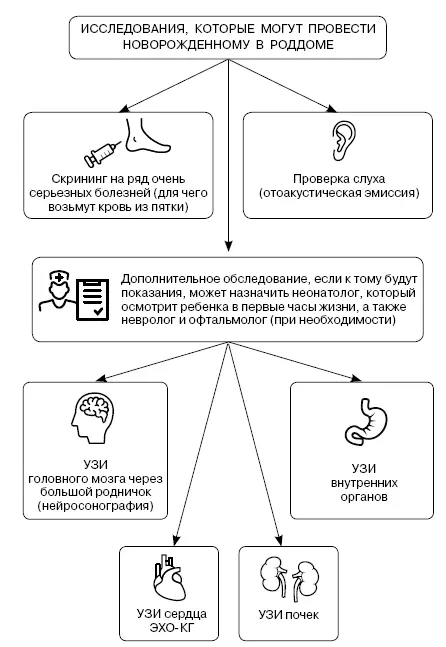 Примечание Если первые два обследования не сделали в роддоме то кровь для - фото 4