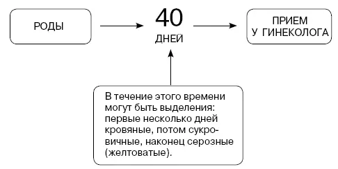 До врачебного осмотра в этот период не рекомендуется вести половую жизнь - фото 13