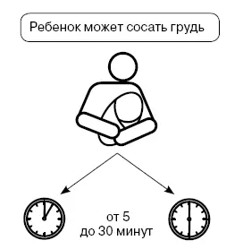 Считается что основной объем молока он получает в течение первых 10 минут Для - фото 32