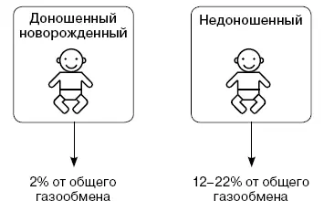 4 Еще важно помнить о несовершенстве функции терморегуляции и потоотделения у - фото 41