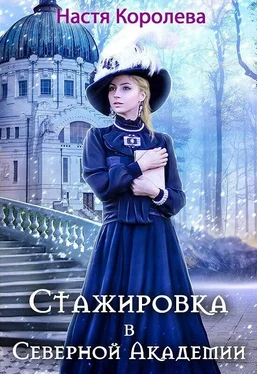 Анастасия Королева Стажировка в Северной Академии обложка книги