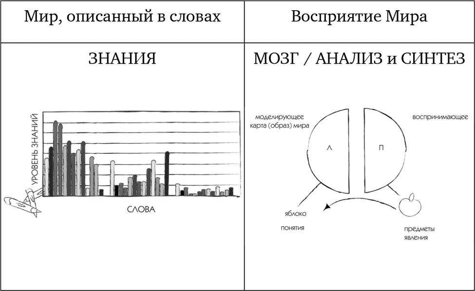 Правое полушарие у нас воспринимающее Оно в ответе за все что мы ощущаем А - фото 4