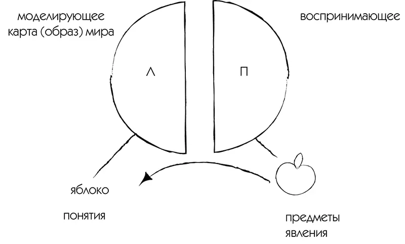 Следствие и причина Что первично Изза того что в биологическом плане - фото 5