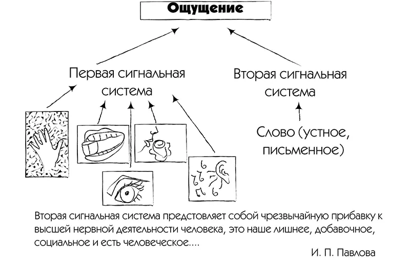 Следствие и причина Что первично Изза того что в биологическом плане - фото 6