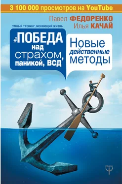 Илья Качай Победа над страхом, паникой и ВСД. Новые действенные методы обложка книги