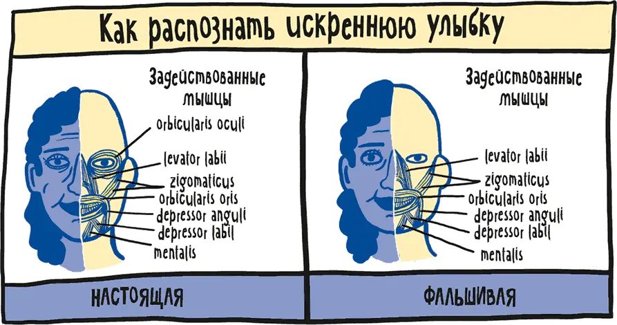Таким образом все эти тренды не просто нелепость а мода на подобные операции - фото 6
