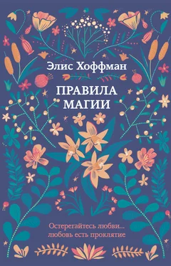 Элис Хоффман Правила магии обложка книги