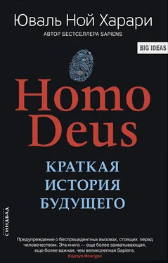 Юваль Харари Homo Deus. Краткая история будущего обложка книги