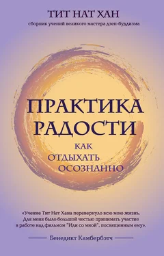 Тит Нат Хан Практика радости. Как отдыхать осознанно обложка книги