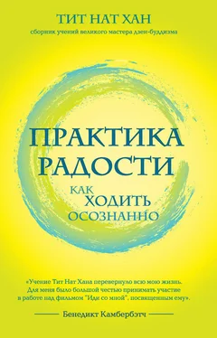 Тит Нат Хан Практика радости. Как ходить осознанно обложка книги