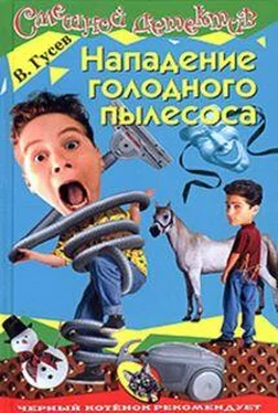 Валерий Гусев Нападение голодного пылесоса обложка книги