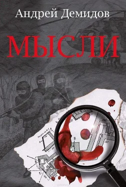 Андрей Демидов Мысли обложка книги