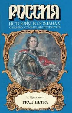 Владимир Дружинин Град Петра обложка книги