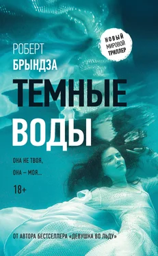 Роберт Брындза Темные воды обложка книги