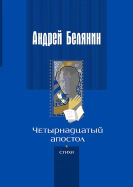 Андрей Белянин Четырнадцатый апостол (сборник) обложка книги