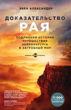 Эбен Александер Доказательство рая. Подлинная история путешествия нейрохирурга в загробный мир обложка книги