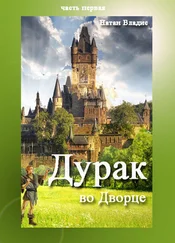 Натан Владис - Дурак во Дворце