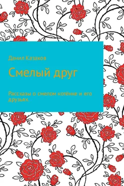 Надежда Шитова Смелый друг обложка книги