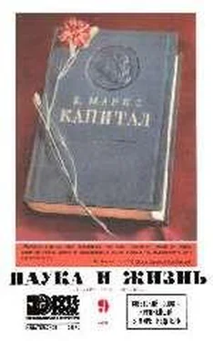 Мишель Демют Тигр-джентльмен обложка книги