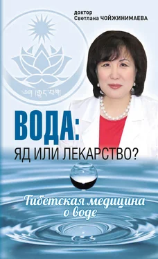 Светлана Чойжинимаева Вода: яд или лекарство? Тибетская медицина о воде обложка книги