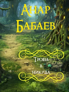 Анар Бабаев Тропа в никуда обложка книги