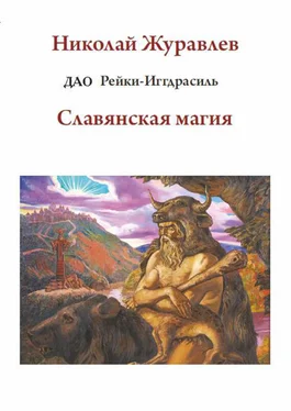 Николай Журавлев Дао Рейки-Иггдрасиль. Блок «Славянская магия» обложка книги