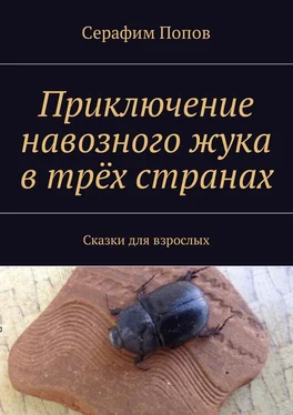 Серафим Попов Приключение навозного жука в трёх странах. Сказки для взрослых обложка книги