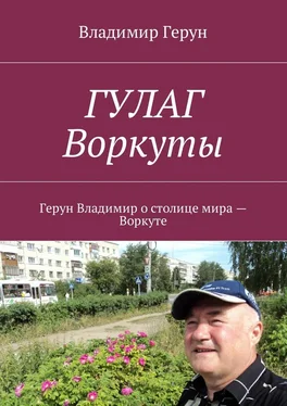 Владимир Герун ГУЛАГ Воркуты. Герун Владимир о столице мира – Воркуте обложка книги