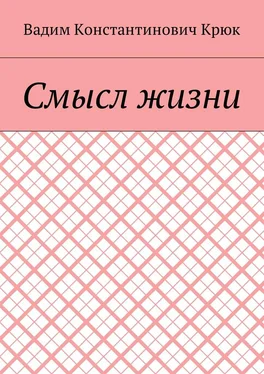 Вадим Крюк Смысл жизни обложка книги