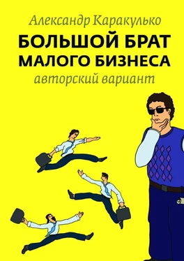 Александр Каракулько Большой брат малого бизнеса обложка книги