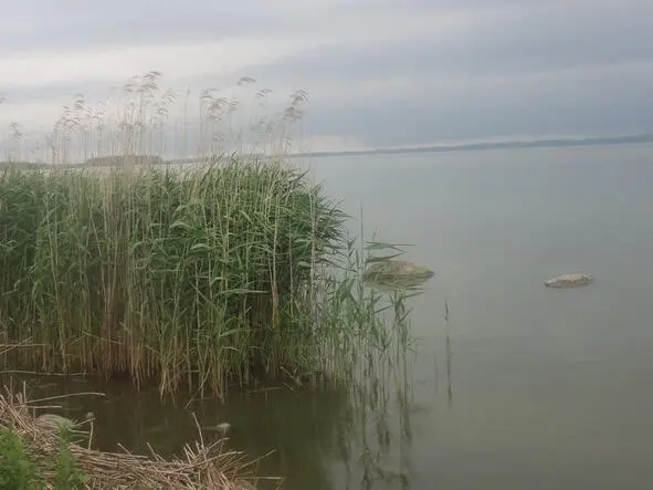 Немного о Скандинавии Когда я приехала в Данию много лет назад я не знала - фото 1