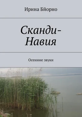 Ирина Бйорно Сканди-Навия. Осенние звуки обложка книги